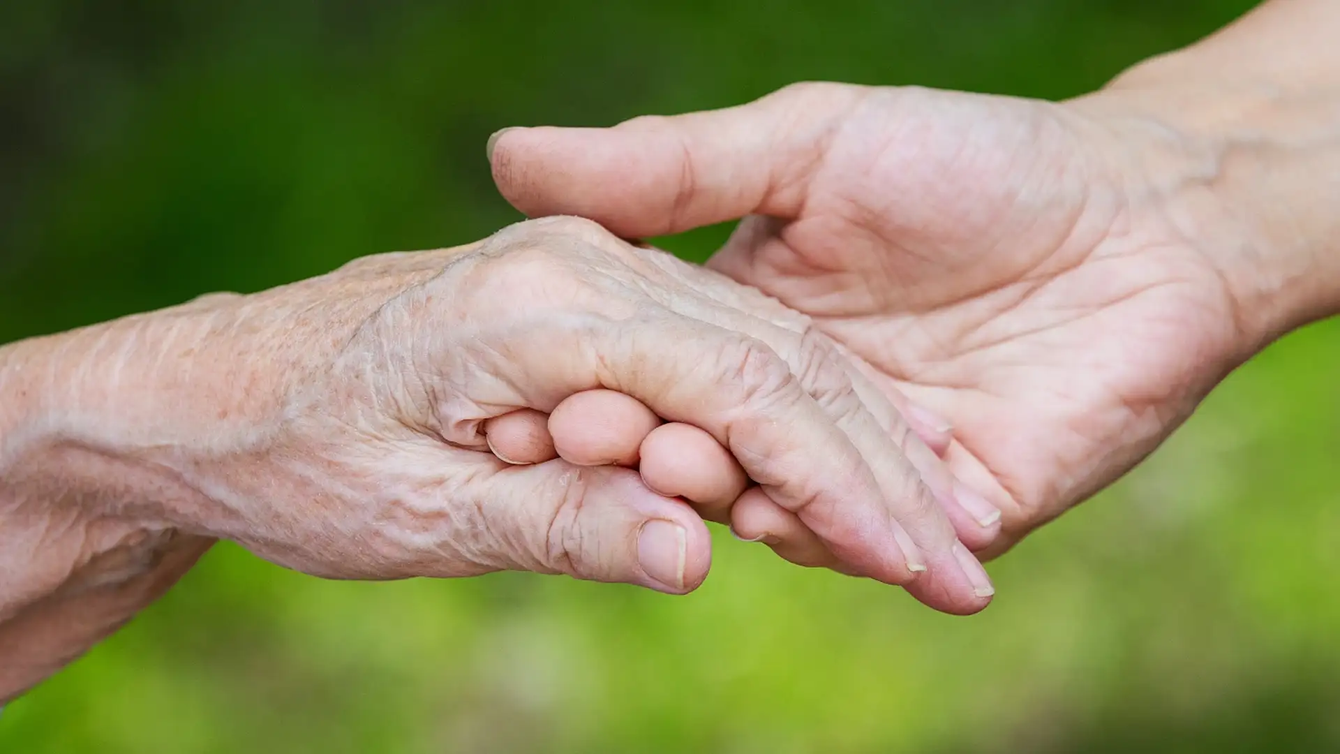 Hands of young adult and senior women over green b