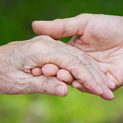 Hands of young adult and senior women over green b